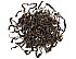 Green Assam Tea