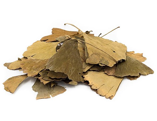 Ginkgo Tea