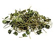Gotu Kola Tea (Centella Asiatica)