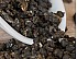 2026 Mi Xiang Dong Ding (Honey Scent) Oolong Tea