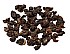 2026 Mi Xiang Dong Ding (Honey Scent) Oolong Tea