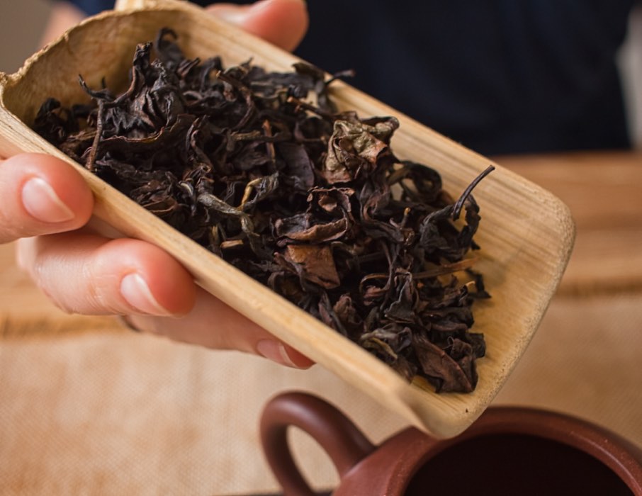 2021 Gaba Oolong Tea Jin Xuan Long Twisted - Order online from Thailand 2021 Gaba Oolong Tea Jin Xuan, Long Twisted