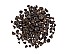 2025 Hong Shui Oolong Tea Premium, USDA Organic
