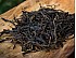2023 Thai Giant (2000+ y.o.) Single Tree Wild Tea Loose-leaf