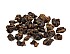 2024 Gaba Assam Black Tea Rolled