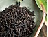 2025 Honey Black Tea Bug-bitten, Loose Leaf