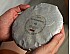2024 “Moonberry” Moonlight White Tea Cake, 300+ y.o. trees