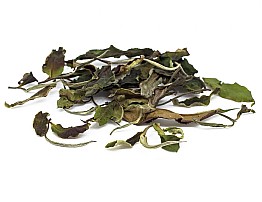 Yue Guang Bai White Tea 2019