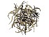 2022 Silver Needle Tea Baihao Yinzhen