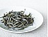 2022 Silver Needle Tea Baihao Yinzhen