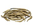 2023 Silver Needle Tea Premium, Big Trees 