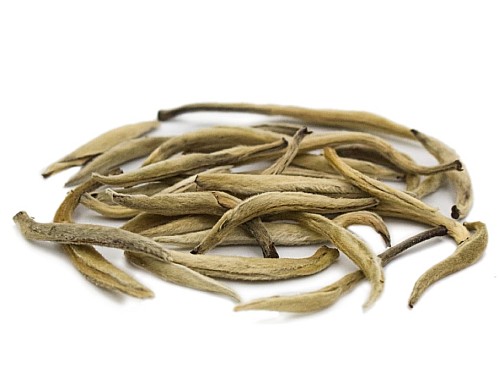 2023 Silver Needle Tea Premium, Big Trees 