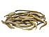 2025 Silver Needle Tea Premium, Big Trees 
