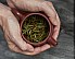 2025 Lahu Silver Needle Tea Baihao Yinzhen