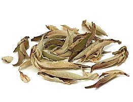 White Wild Tea Buds 2026 - Buy Online