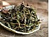2026 Wild White Tea