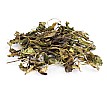 2023 Wild White Tea