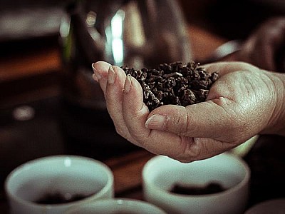 What is oolong tea