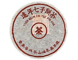 2004 Yuen Neun Hong Tai Chang Raw Puerh Tea Old Trees