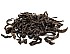 2006 Loose-leaf Thai Raw Pu-erh Tea