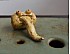 Tonguester – Ceramic Tea Pet