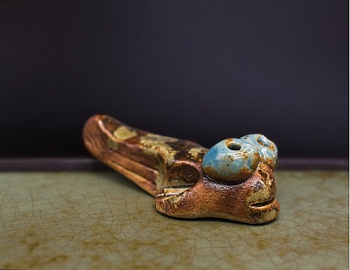 Tadpole or Mudskipper Fish Tea Pet