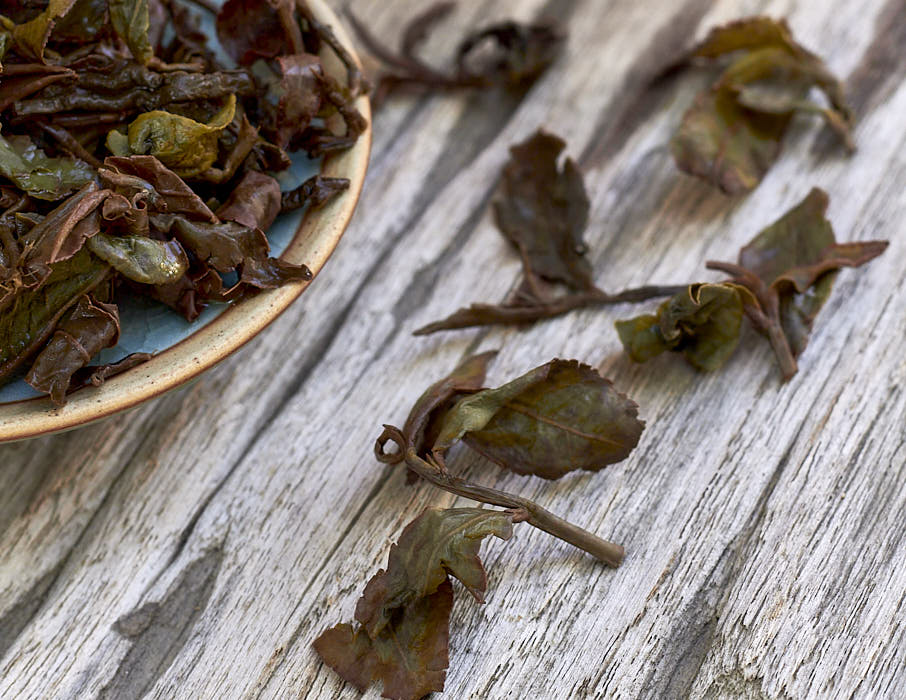 Steeped leaves of 2024 Gui Fei Premium Oolong Tea