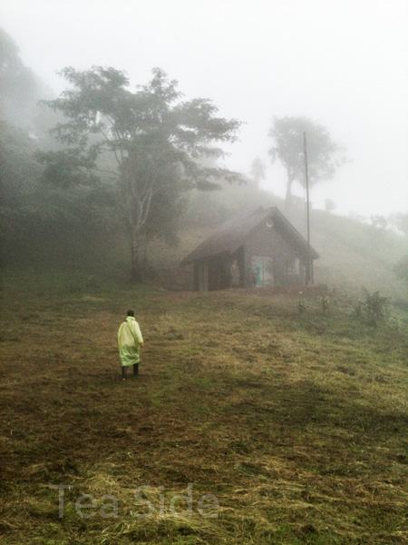 Forester's cabin in the misty jungles of Thailand