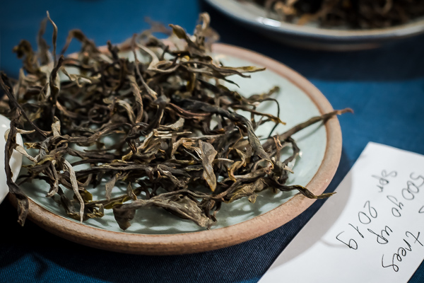 Mao cha (young loose pu-erh tea) from 500-year-old trees of Thaialand