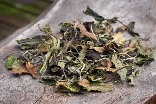 Tea herbarium from Moonlight White tea