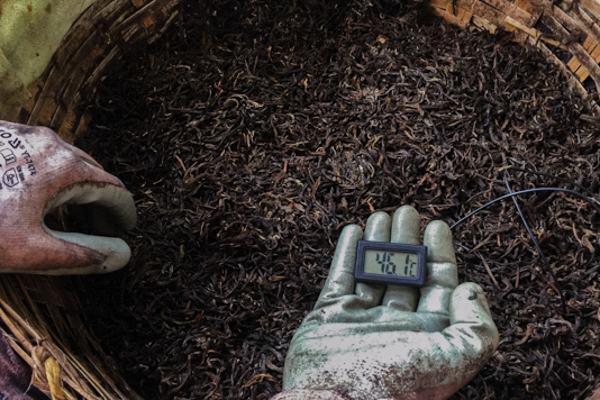 Homemade ripe pu-erh tea